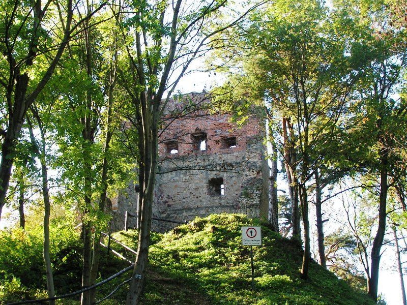 Ruiny zamku rodu Leliwitów w Melsztynie (fot. Marek Burczak)