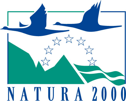 Logo&#x20;Natura&#x20;2000&#x20;&#x28;źródło&#x3a;&#x20;www&#x2e;natura2000&#x2e;gdos&#x2e;gov&#x2e;pl&#x29;