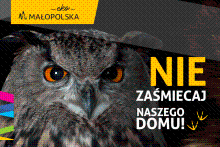 Oko w oko z dzikimi zwierzętami w kampanii antyśmieciowej Małopolski