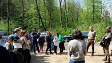 Społeczny Obchód Lasu - Wiosna w Lesie... Okocimskim