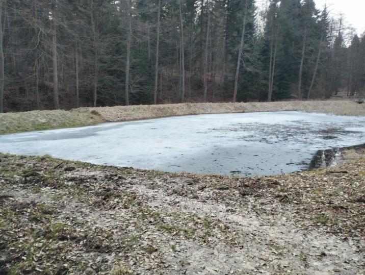 Zbiornik&#x20;w&#x20;Leśnictwie&#x20;Kopaliny&#x20;fot&#x2e;&#x20;J&#x2e;&#x20;Bielan
